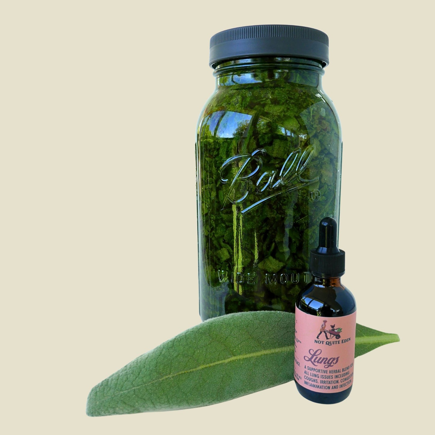 LUNGS Tincture